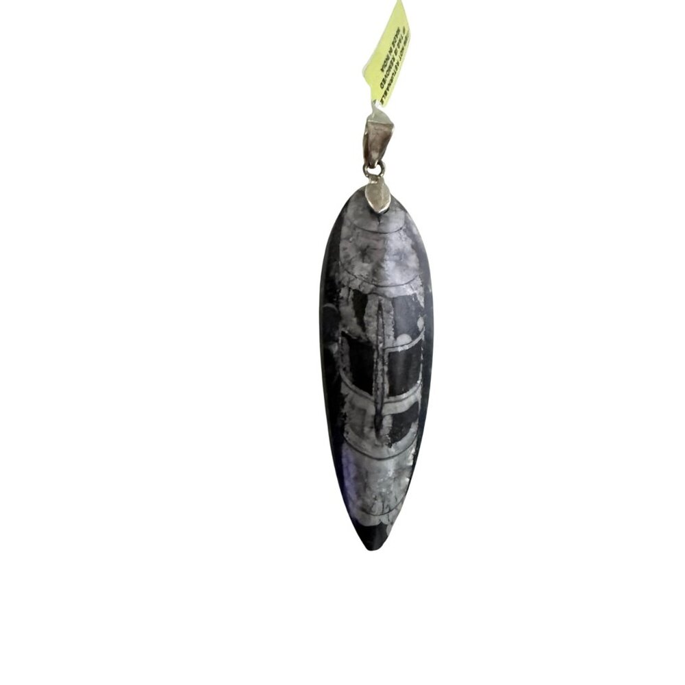 Orthoceras Fossil Pendant With Sterling Silver 925 Bail